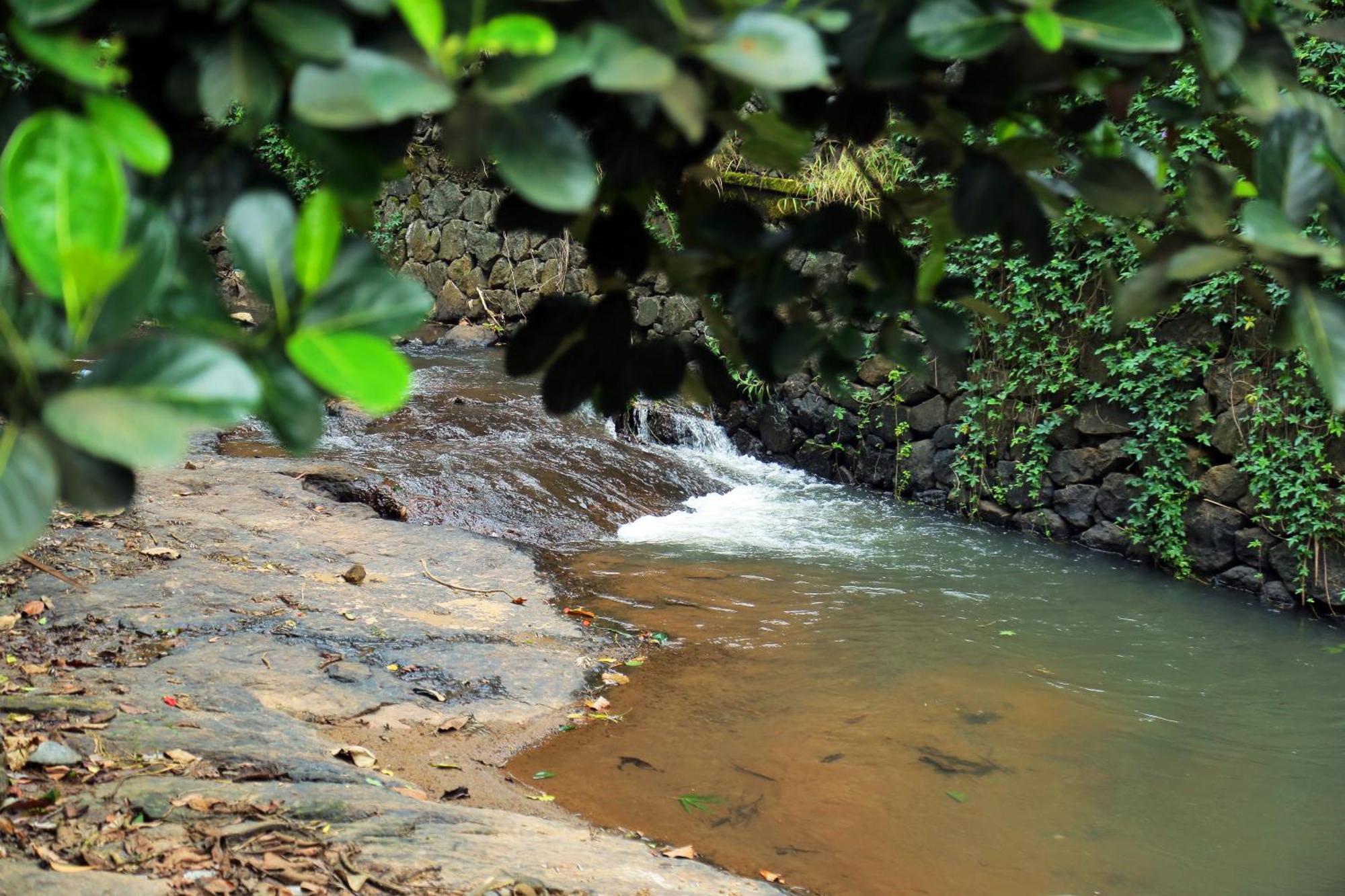 Snow Hills Resorts Thekkady Bagian luar foto
