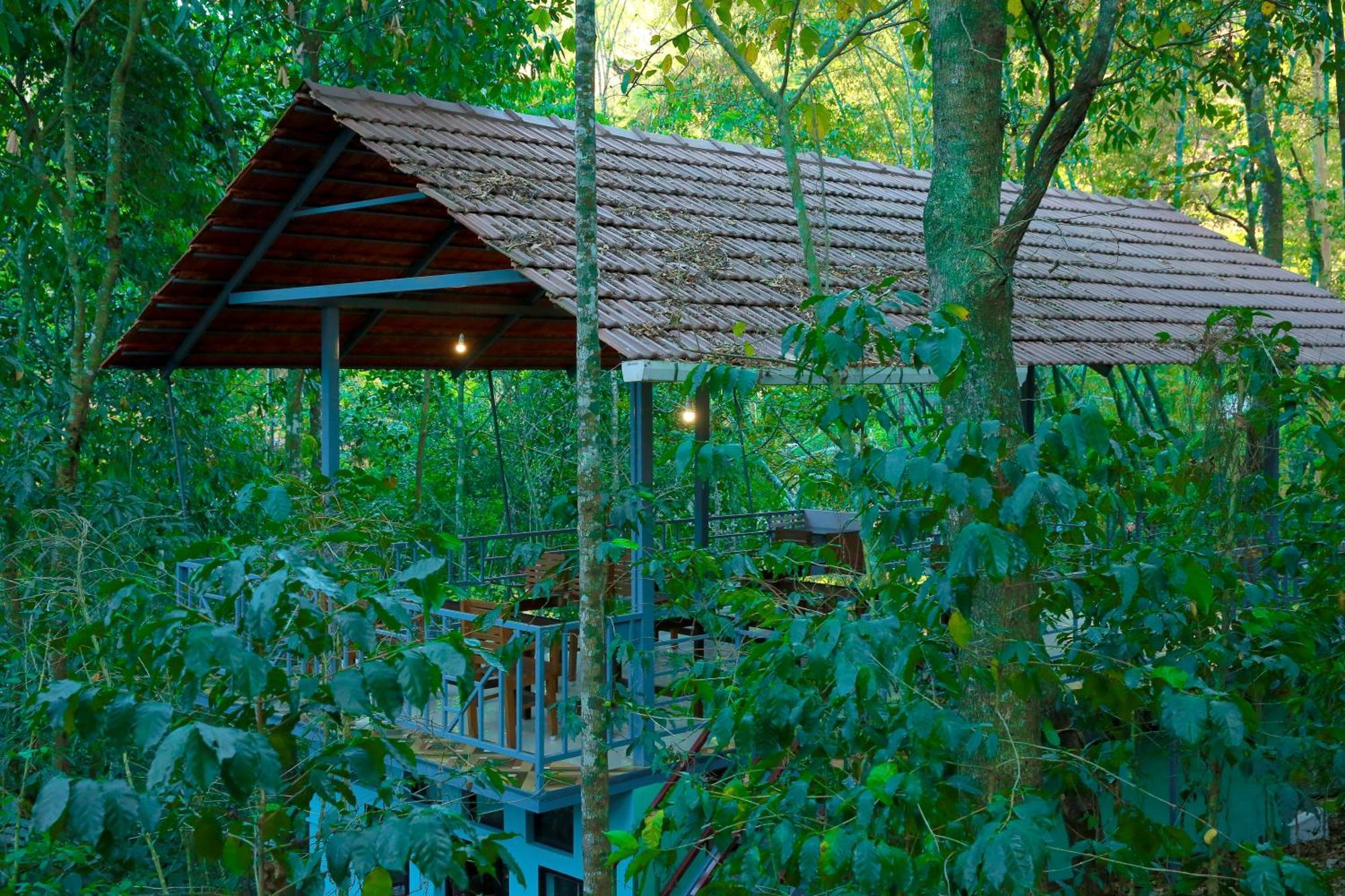 Snow Hills Resorts Thekkady Bagian luar foto